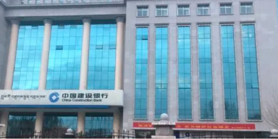 中國建設(shè)銀行西藏分行動環(huán)監(jiān)控項目